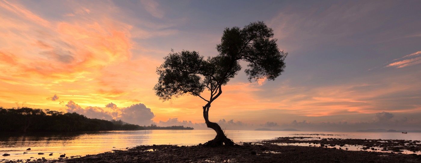 EXCURSION EN PROVINCE DE PHANG NGA THAILANDE.jpg